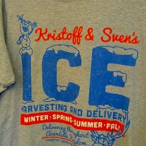 Frozen tee shirt (off brand)